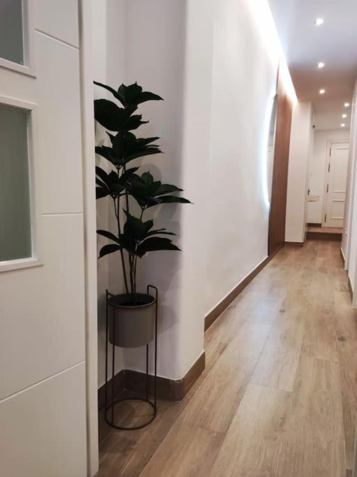 Apartamento Sierra-Sol 龙达 外观 照片